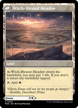 Witch Enchanter // Witch-Blessed Meadow [Modern Horizons 3] - Image 2
