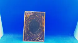 Guardian Angel Joan - SDRL-EN011 YuGiOh Card - Image 2