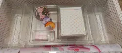 Pokemon Scarlet & Violet 151 UPC - EMPTY BOX + ACCESSORIES (NO PACKS) MINOR DAM - Image 3