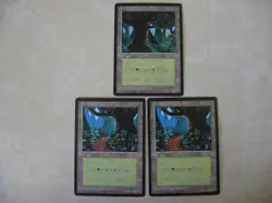 MTG - Beta Lands - Forest - 3 Chinese Language Cards - NM - Image 1