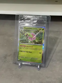 Pokemon Mega Evolution Prerelease Holo Staff Promo Cards Set of 4 SEALED - Image 2