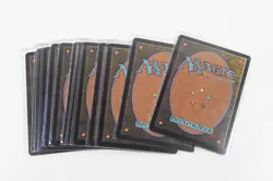 Lot of (13) Magic The Gathering MTG Words of Wilding - Image 2