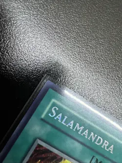 Yu-Gi-Oh! Salamandra DDS-006 Prismatic Secret Rare Card NM - Image 5