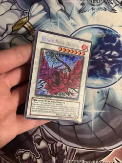 (83) Black Rose Dragon CT05-EN003 Yu-Gi-Oh Limited Edition LP - Image 2