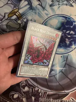 (83) Black Rose Dragon CT05-EN003 Yu-Gi-Oh Limited Edition LP - Image 5