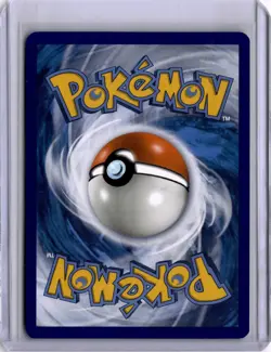 Pikachu - (Water Web Holo) 028/073 Miscellaneous Cards & Products Holo - Image 2