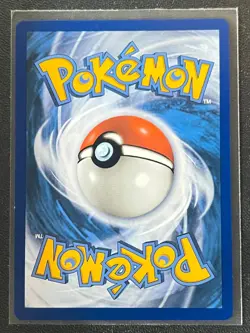 Pikachu V SWSH061 Black Star Promo Shining Fates Collection Pokemon Near Mint NM - Image 2