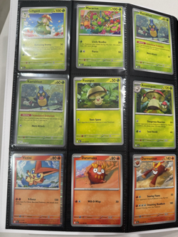 Black Bolt Starter Master Set Pokemon TCG English Pack Fresh (111 Cards+Binder) - Image 4