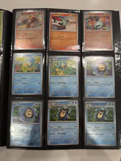 Black Bolt Starter Master Set Pokemon TCG English Pack Fresh (111 Cards+Binder) - Image 5