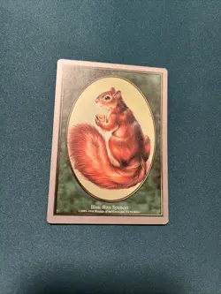 MTG TOKEN Unglued Squirrel Unplayed NM Near Mint - Image 1