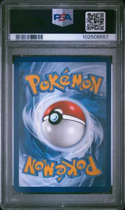 Pokemon TCG Squirtle 148/142 Stellar Crown Illustration Rare PSA 8 - Image 2
