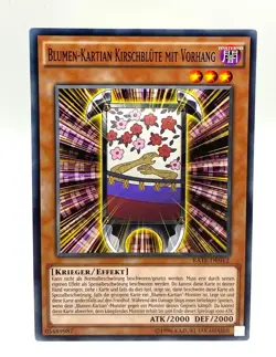YU-GI-OH! Einzelkarten - Raging Tempest (RATE) - Common - Secret Rare - Image 5