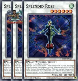 Yugioh! 3x Splendid Rose L5DD-ENA27 Common 1st Ed NM - Image 1