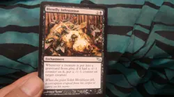 Blowfly Infestation mtg - Image 1