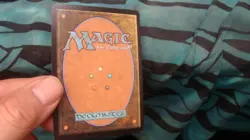 Blowfly Infestation mtg - Image 2