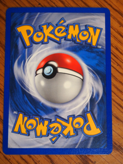 Pokemon 2004 Pokemon Ex Hidden Legends Walrein holo card, mint condition - Image 4