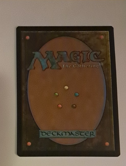 Black Cat, Cunning Thief Showcase Foil Marvel Spiderman MTG MAGIC THE GATHERING - Image 2