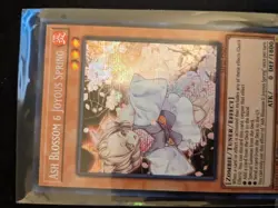 Ash Blossom & Joyous Spring MP22-EN257 2022 Mega Tin 1st Edition Yugioh - Image 3