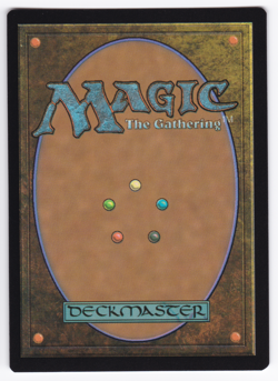 MTG Errors - Miscut - New Capenna *FOIL* L Plains #263 [COPY #3] - Image 2