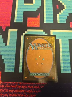 Coat of Arms (Rainbow Foil) Secret Lair Drop Foil - Image 2