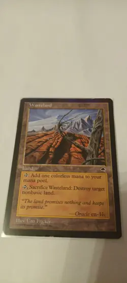 Wasteland (tempest) MTG single LP - Image 1