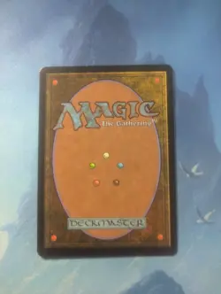 Time Warp Starter 1999 Regular - Image 2