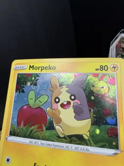 Pokemon TCG Sword & Shield Morpeko SWSH031 Black Star Promo Cosmos Holo SWIRL NM - Image 2
