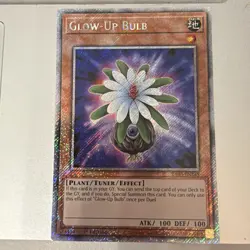 Glow-Up Bulb Platinum Secret Rare RA03-EN245 Yugioh 1st Ed! - Image 1