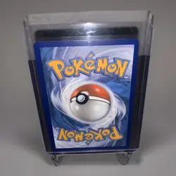 Pokemon TCG Squirtle Holo Illustration Rare Card 148/142 Stellar Crown SIR NM - Image 4