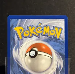 Spheal 199/191 - Illustration Rare Surging Sparks Pokemon TCG Holo 2024- NM card - Image 3