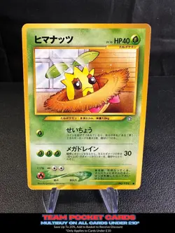 Sunkern #191, Neo Genesis, Pokemon, Japanese, MP - Image 1