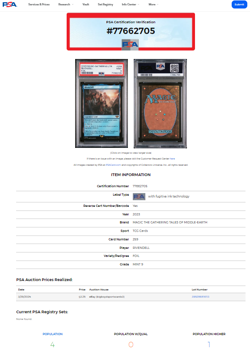 2023 MTG Magic the Gathering LOTR Lord of the Rings Foil #259 Rivendell PSA 9 - Image 3