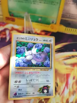 Pokemon Karte Card Erikas Dratini Gym Corocoro Promo Glossy Wotc japanese Exc-NM - Image 4