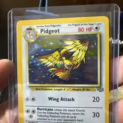 Pokemon TCG Pidgeot Jungle 8/64 Holo Unlimited Holo Rare 1st Edition & Pidgey - Image 3