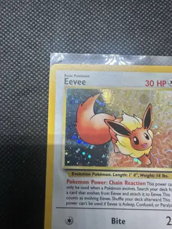 Pokemon TCG Black Star Promo WOTC 2002 Eevee 11 (LP) - Image 4