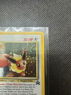Pokemon TCG Black Star Promo WOTC 2002 Eevee 11 (LP) - Image 5