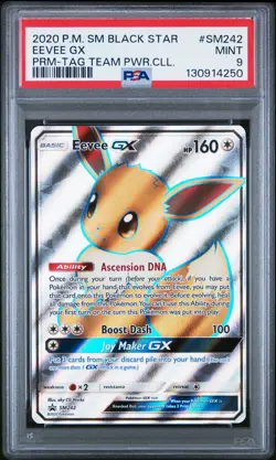 2020 Pokemon Sm Black Star Promo #SM242 Eevee Gx PSA9 - Image 1