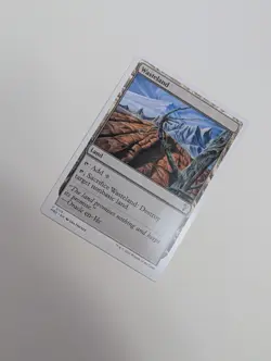 MTG - Wasteland (White Border) - Mystery Booster 2 (MB2) NM/M Condition - Image 2