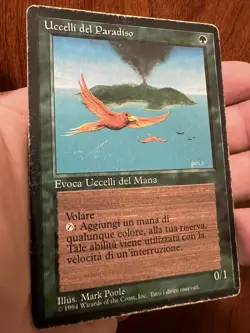 FBB Italian Birds Of Paradise Revised Edition Heavy Played Magic: The Gathering - Image 1