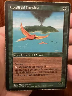 FBB Italian Birds Of Paradise Revised Edition Heavy Played Magic: The Gathering - Image 2