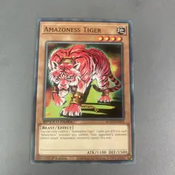 Yugioh! Amazoness Tiger SGX3-END03 Duelist Of Shadows 1st Edition Basic Common - Image 1