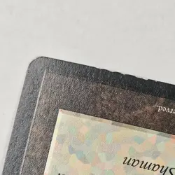 MTG Didgeridoo Homelands Regular Rare LP Magic The Gathering Ships FAST - Image 3