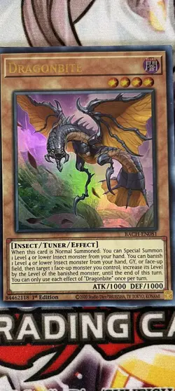 Dragonbite Ultra Rare BACH 1st ED NM Yugioh - Image 1