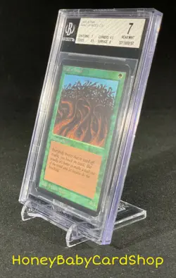 MTG Limited Edition Alpha 1993 Wall of Wood BGS 7.0 NM Old School 93/94 - Image 3