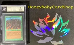 MTG Limited Edition Alpha 1993 Wall of Wood BGS 7.0 NM Old School 93/94 - Image 4