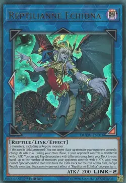 Yugioh! Reptilianne Echidna - DUOV-EN016 - Ultra Rare - 1st Edition Near Mint, E - Image 1