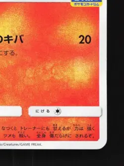 Torracat 313/SM-P NM Sun & Moon Promos Japanese Pokemon Card TCG - Image 3