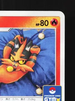 Torracat 313/SM-P NM Sun & Moon Promos Japanese Pokemon Card TCG - Image 5