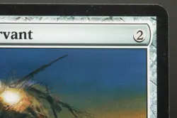 Painter's Servant Shadowmoor Rare Magic: The Gathering Card (Lightly played) - Image 3