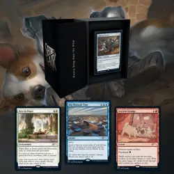 EVERY DOG HAS ITS DAY Secret Lair | Factory Sealed | MTG - Image 1